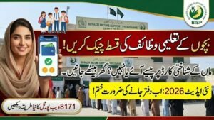 how to check bisp money in online 