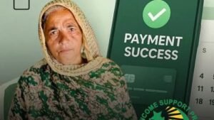 payment recive form bisp